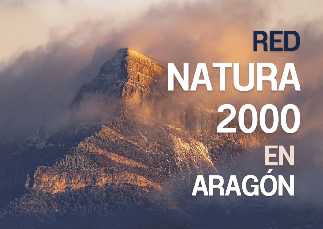 Portada de la publicación Red Natura 2000 en Aragón