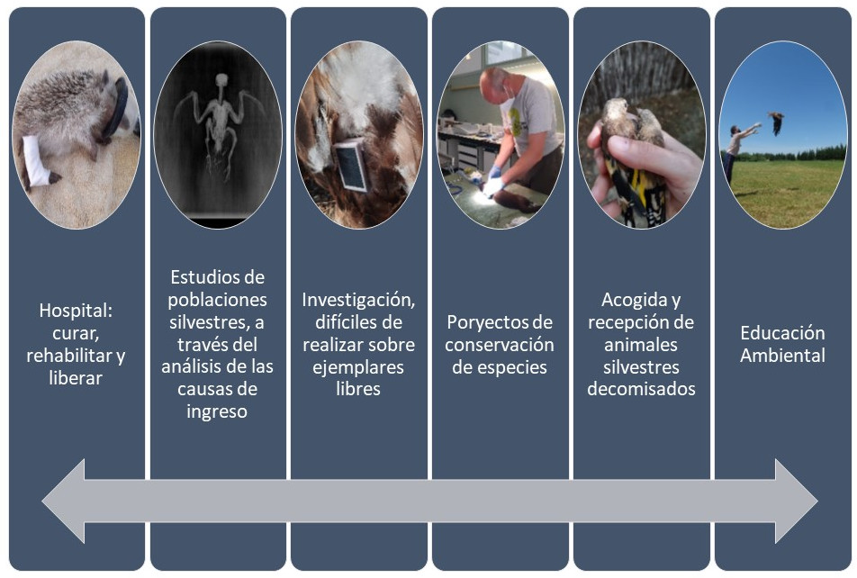 Funciones del Centro de Recuperación de Fauna Silvestre de La Alfranca