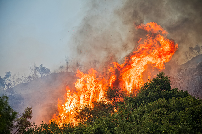 Incendio forestal