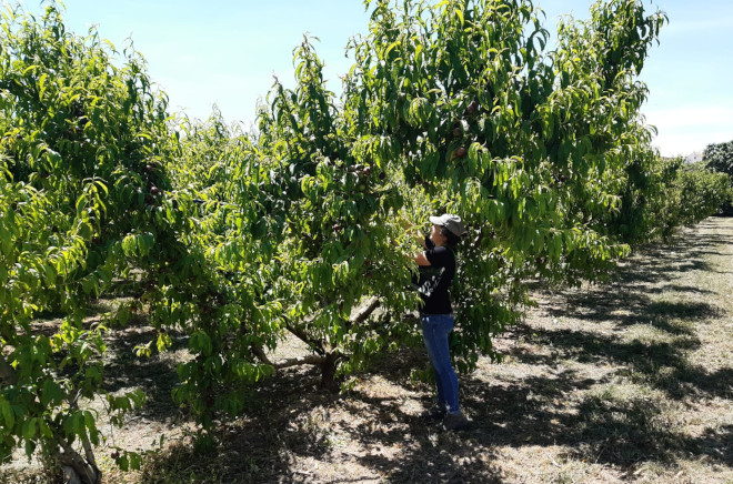 Personal técnico realizando una prospección en campo.