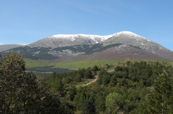 Parque Natural del Moncayo