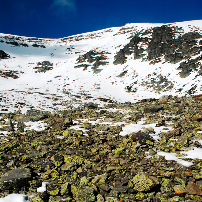 Parque Natural del Moncayo