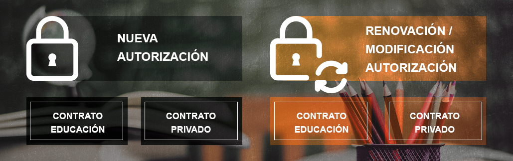 Gráfico que muestra los diferentes tipos de contratación: contrataciones nuevas y renovaciones, y dentro de cada una de ellas, la categoría de contratación con educación o privada