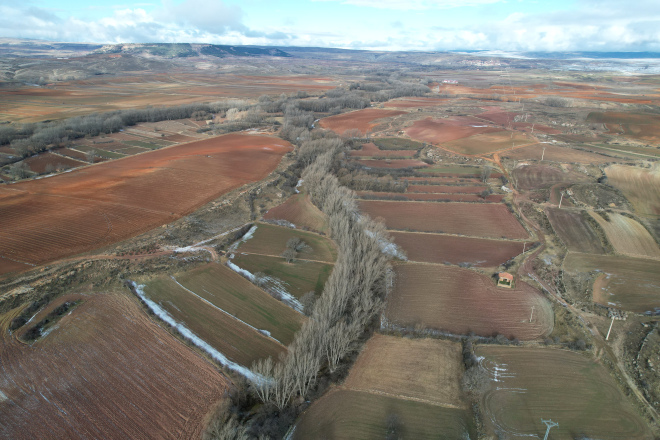 Ribera de Chopo Cabecero