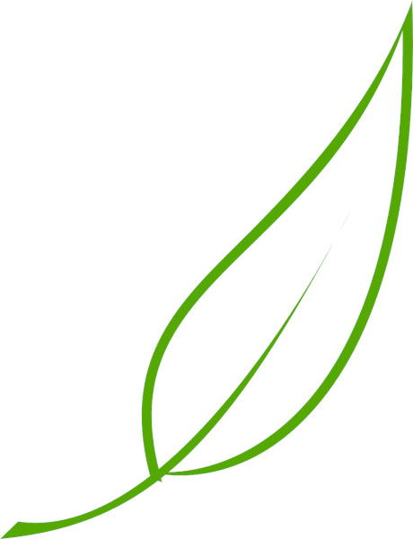 Dibujo de una hoja con un trazo sencillo 