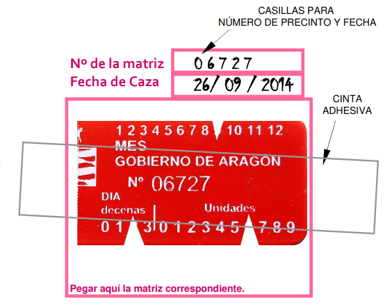 Modelo anterior de precinto. Descripción a continuación